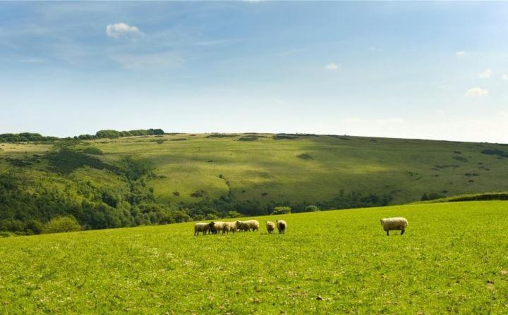 Bed and Breakfast Zeal Farm Dulverton Esterno foto